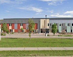 Mass arrests under immigration enforcement lead to widespread school disruptions